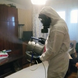 Дезинфекция от клопов в Гребнево
