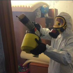 Уничтожение клопов в квартире. Гребнево